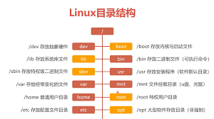Linux常用基础目录及作用速览